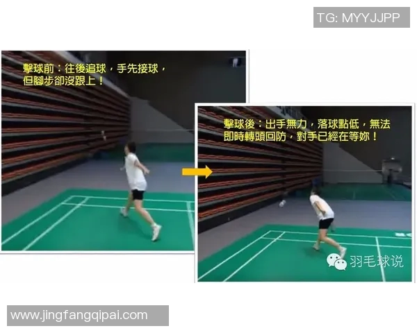 深入分析北京羽毛球队区域防守战术的优势与应用